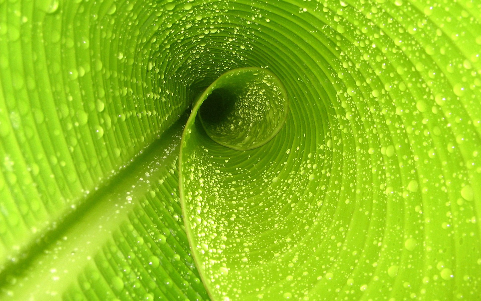 世界保龄球社区推广月志愿者技能提升第21批开班通知，保龄球世锦赛